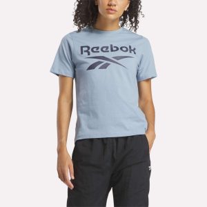 Women's Big Logo Crewneck Short Sleeve Tee